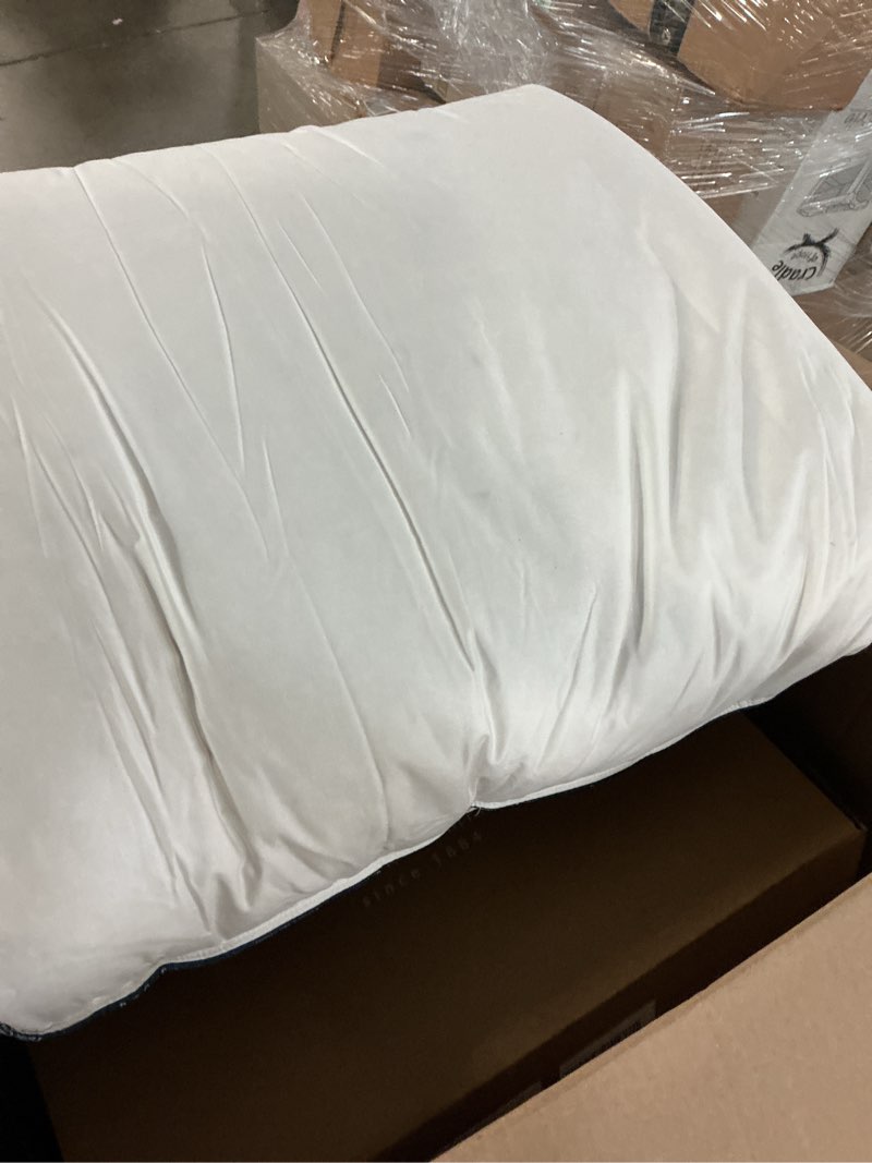 Condition photo showing As Is for pacific coast feather and down bed pillows standard size set of 2, goose feather and down hotel pillow for sleeping, downproof, 3-chamber, medium supportive, 100% cotton shell standard (pack of 2)