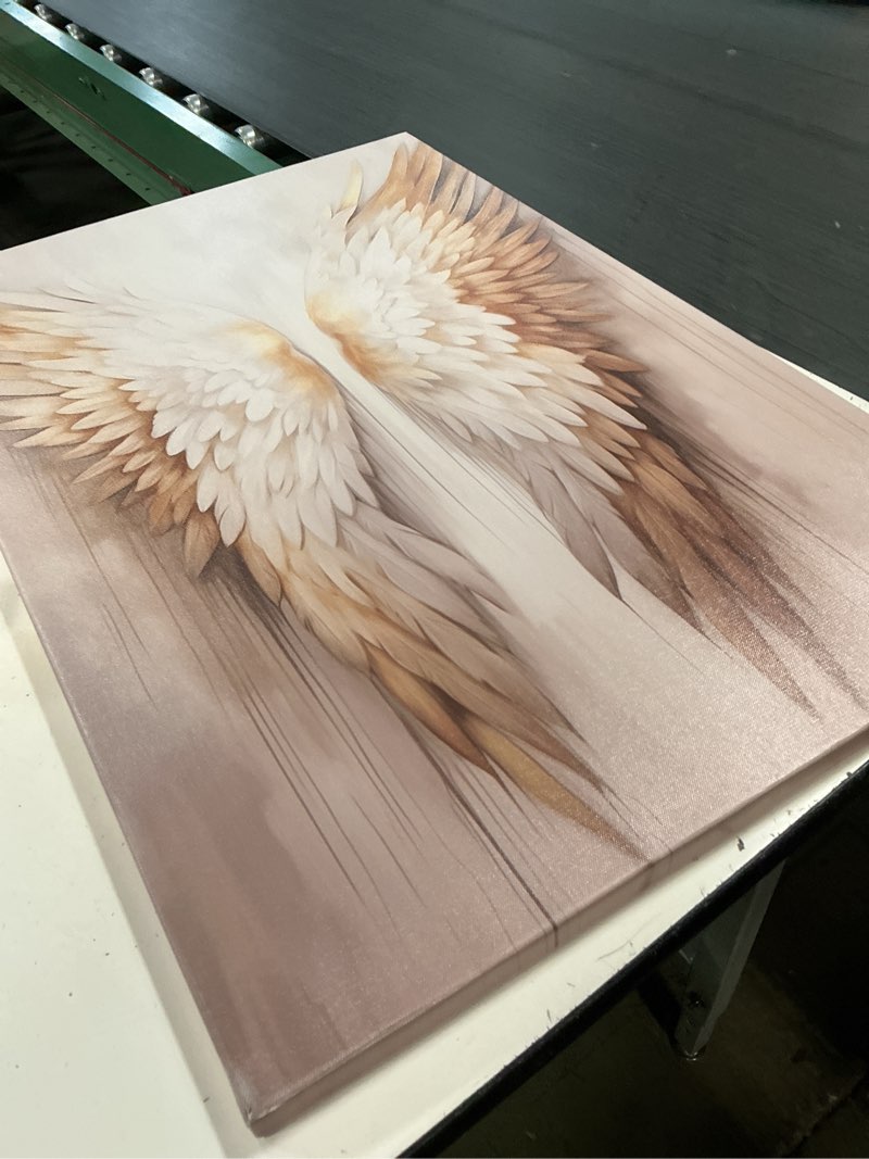 Condition photo showing Good Condition for (unknown size)zxhywym angel wings canvas wall art white gold wings picture prints angel wings painting abstract artwork for living room bedroom decor framed(picture-1, (20.00\" x 30.00\")) picture-1 30\"l x 20\"w