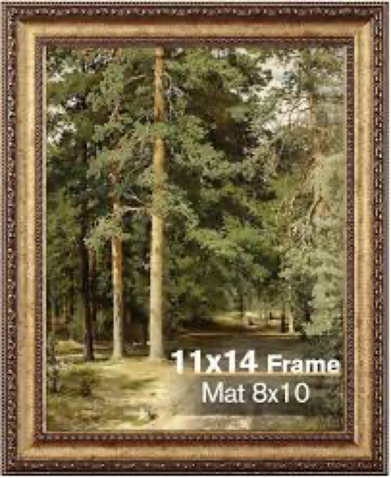 Splinterix 11x14 Gold Picture Frame, Ornate Vintage Picture Frames for Wall or Tabletop Display, 11 