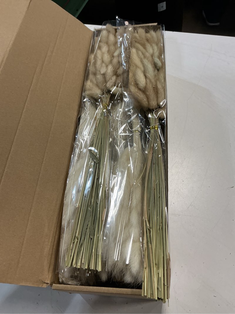 Condition photo showing Good Condition for 610 pcs dried pampas grass decor, dried flower bouquets for wedding, home, centerpiece table, modern home, western living room, nurserie, nursery, boho room, beach, women office, and boho decor