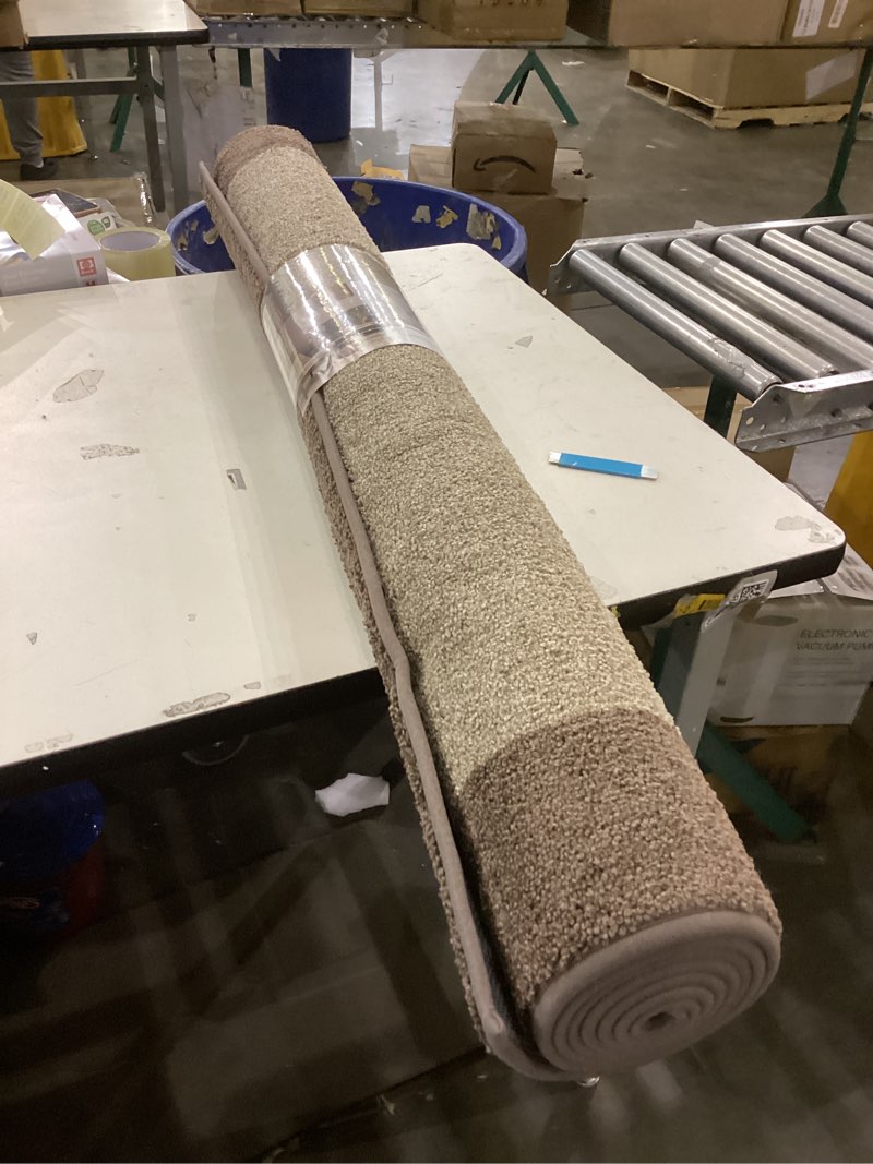 Condition photo showing New/Like New for On known size area rug