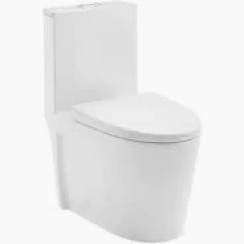 st. tropez 1.6 gpf dual flush one piece elongated toilet with push button flush - seat included
