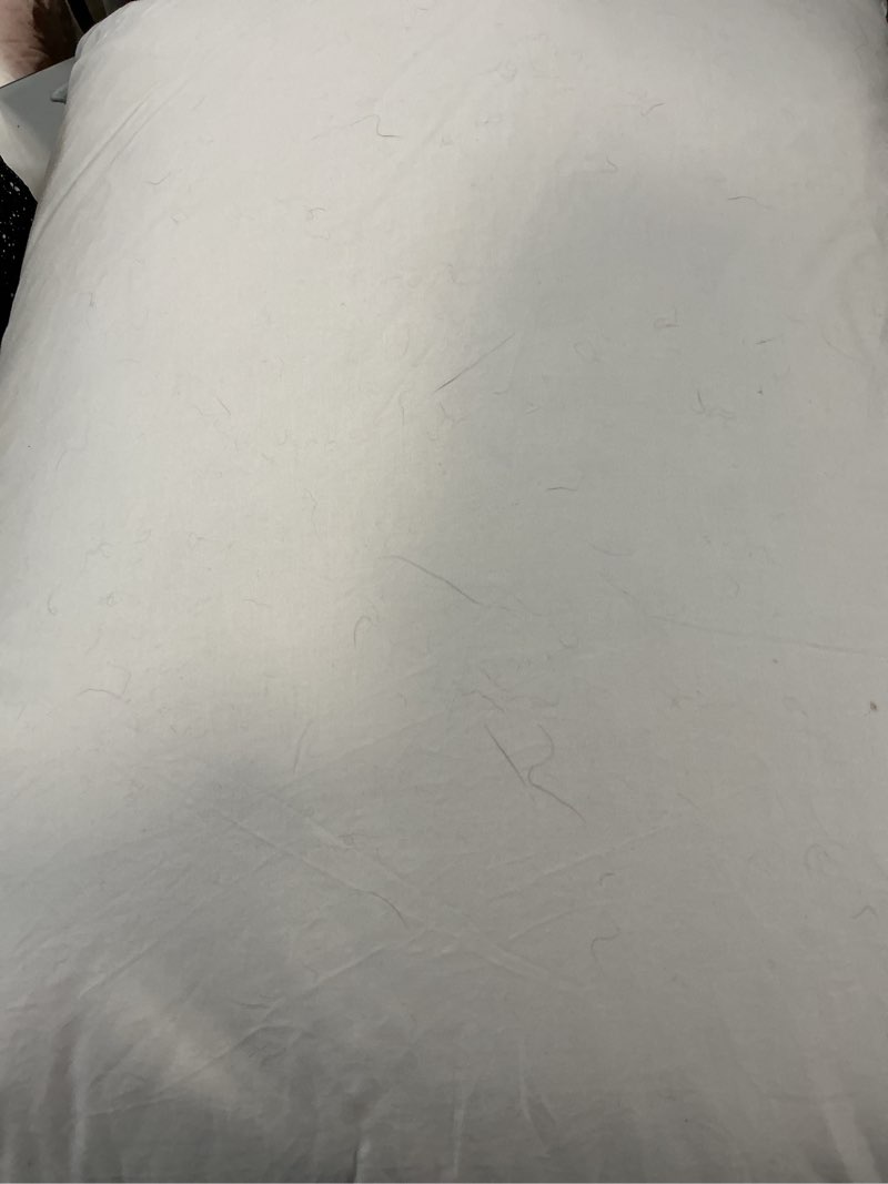 Condition photo showing As Is for premium down pillow, standard, firm