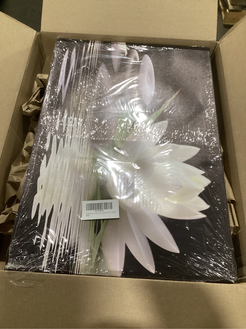 Condition photo showing Good Condition for LZIMU Zen Canvas Wall Art White Lotus and Black Zen Stones Bloom in Water Picture Prints for Yoga Spa Meditation Spiritual Room Bathroom Decor (Zen-1, 16"x24") 16"L x 24"W Zen-1