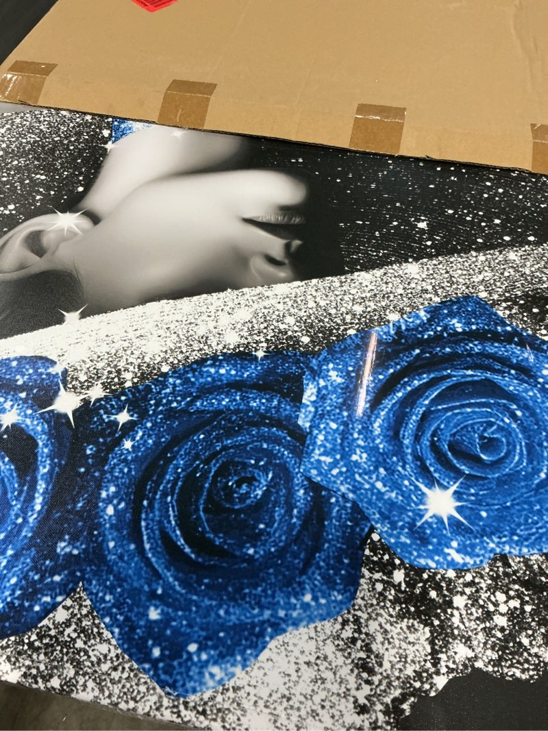 Condition photo showing New/Like New for kalormore modern canvas wall art black white woman portrait with sparkling blue roses hat and dress gallery wrapped contemporary painting for living room home decor easy to hang 24"x36" (blue)