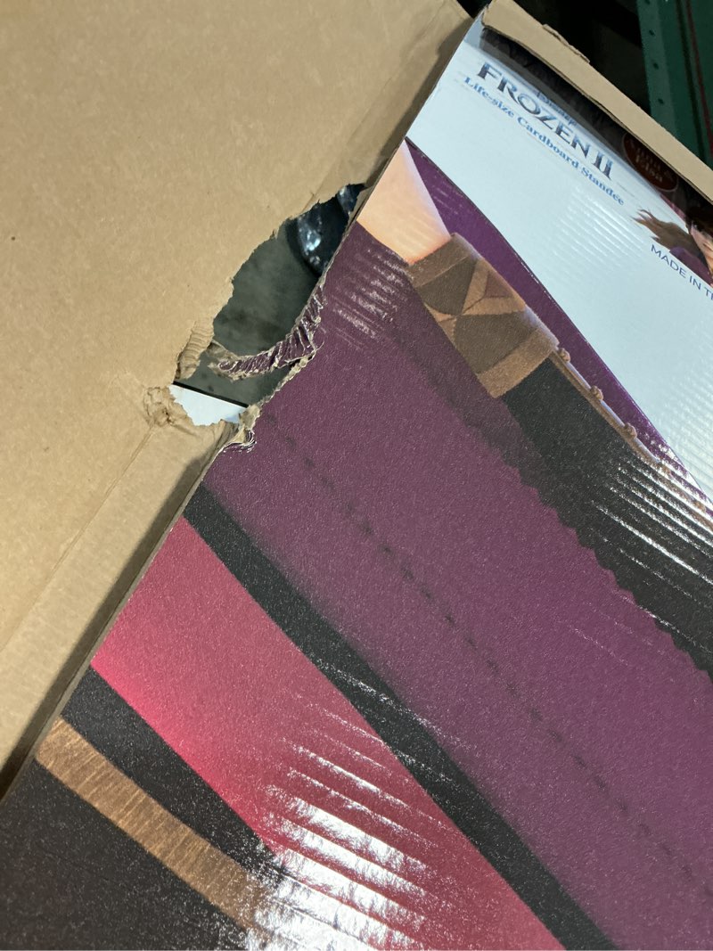 Condition photo showing As Is for Cardboard People Anna & Elsa Life Size Cardboard Cutout Standup - Disney's Frozen II (2019 Film) Anna & Elsa One Size