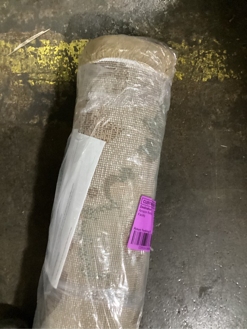 Condition photo showing Good Condition for rugshop vine floral modern for living room, bedroom, or entryway beige multi area rug 5' x 7' beige beige 5' x 7' (rectangular)