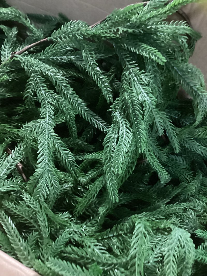 Condition photo showing Good Condition for 4 Pcs Artificial Norfolk Pine Garlands Christmas, 6 FT Dense Real Touch Winter Pine Garland Ornament, Green Artificial Greenery Garland for Table, Mantle, Wall, Indoor, Outdoor Christmas Decorations Norfolk Garland 6 FT-4 PCS