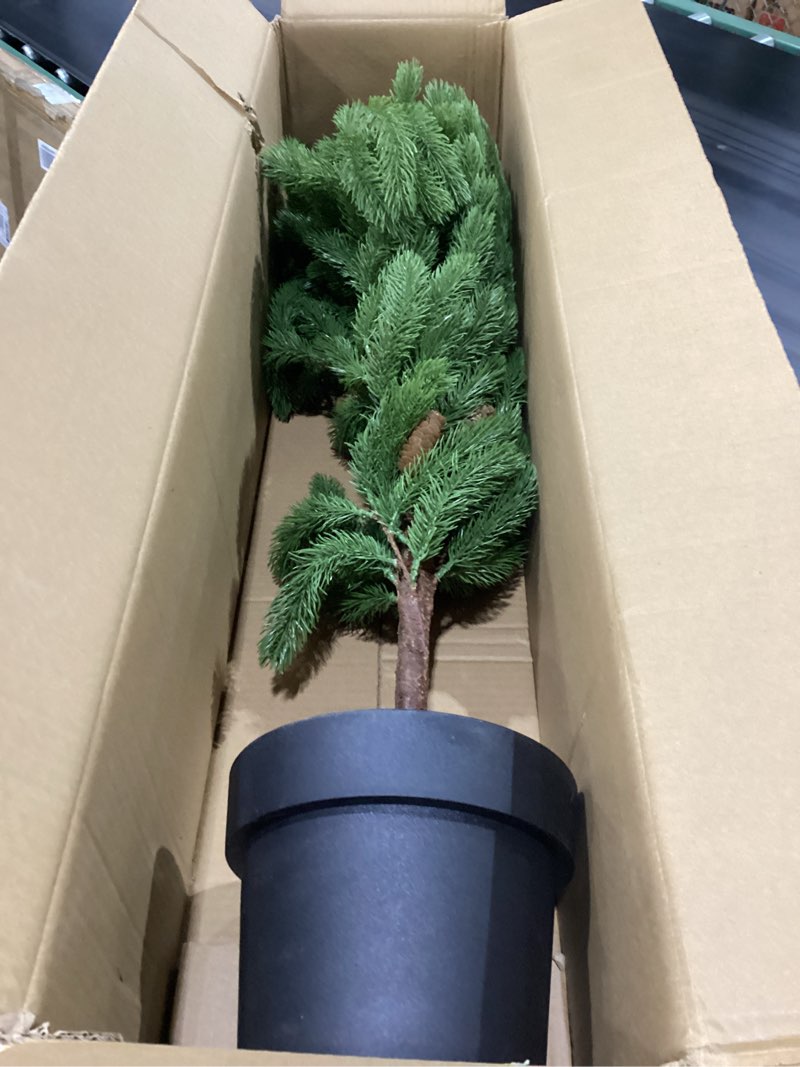 Condition photo showing New/Like New for 5ft artificial norfolk pine tree 1-pack, real touch faux potted plants in black pot, fake christmas greenery for indoor outdoor front porch, entryway, year-round home decor & housewarming gift 1ft 3in