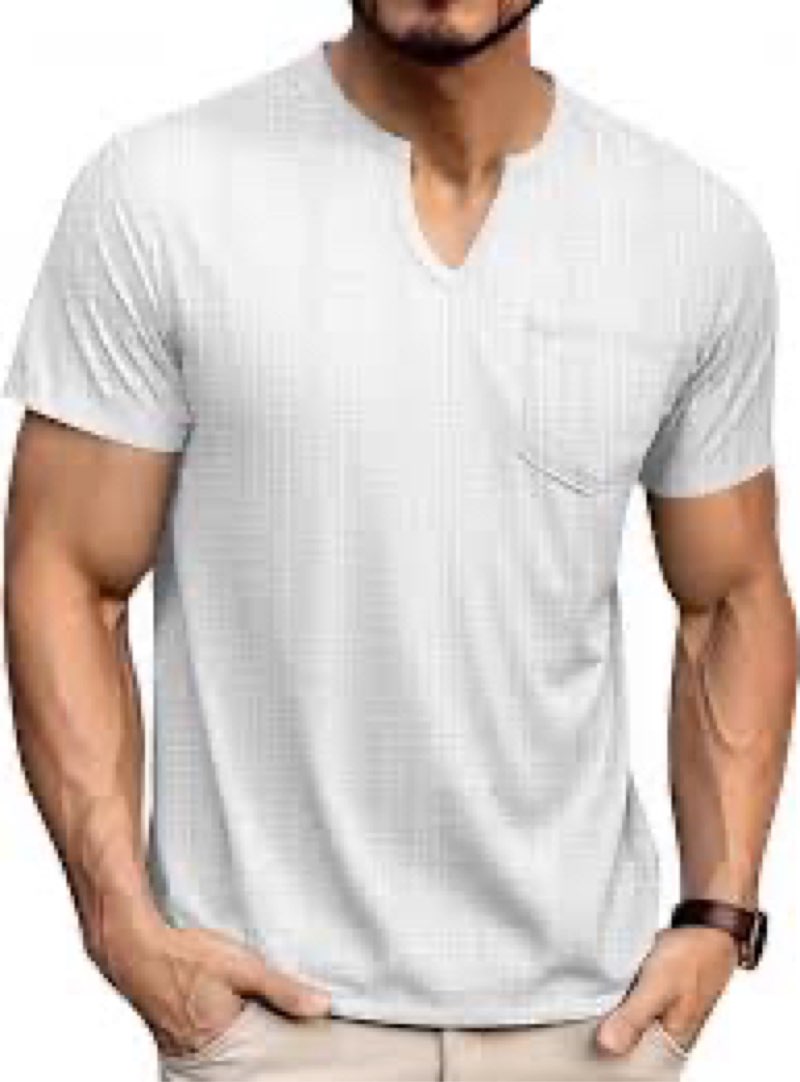 ((Size L))QOSOQ Men's V Neck T Shirts Short Sleeve Summer Casual Stylish Fitted Stretch Tees for Men White