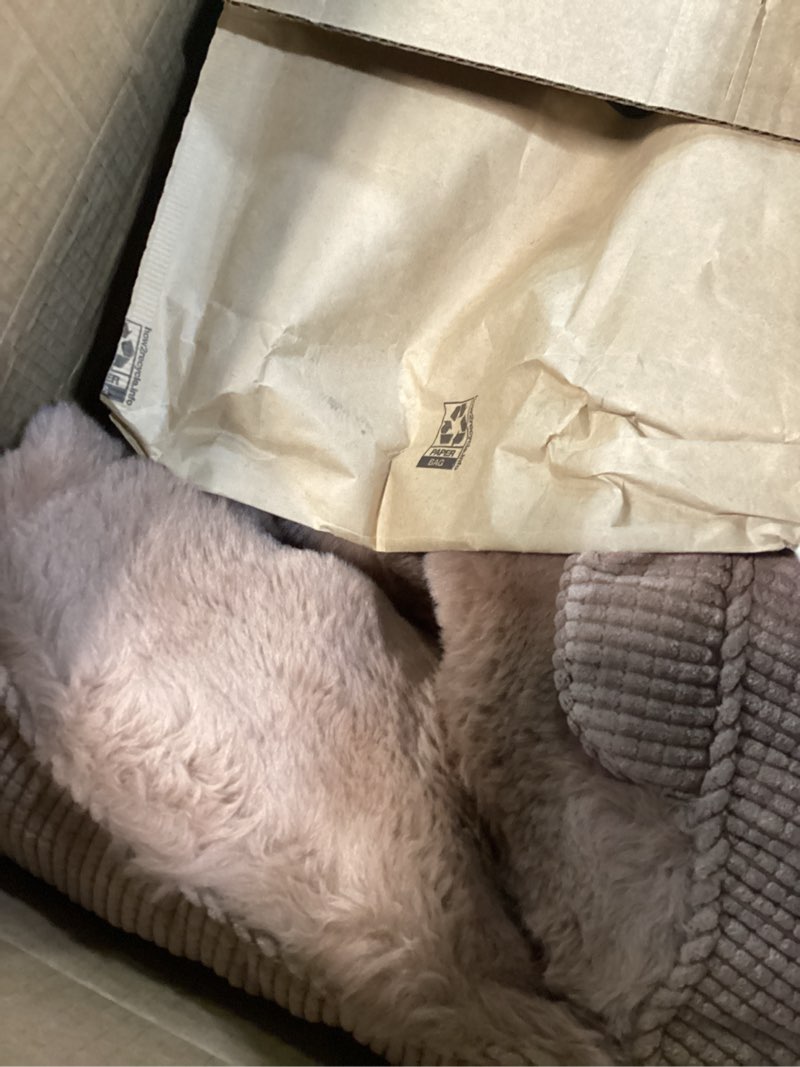 Condition photo showing Good Condition for le sure cute cat couch for pets - fluffy original bear design cat beds for indoor cats, fuzzy cats sofa with removable washable cover, supportive pet chair, 24inch, brown brown cat - 24 inch