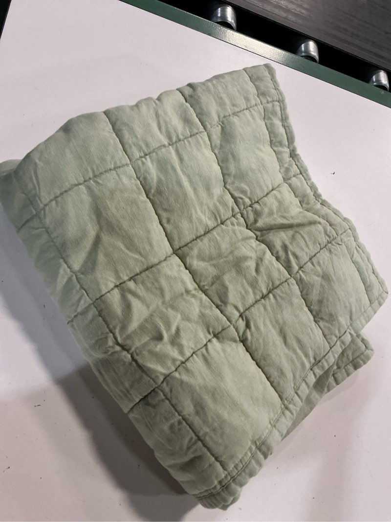 Condition photo showing Good Condition for european linen box quilted euro sham color: willowleaf