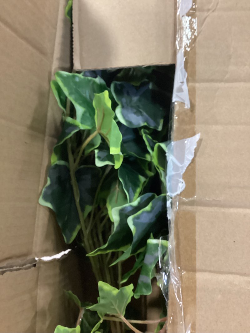 Condition photo showing As Is for hollyone 2pcs artificial hanging plants 24" fake ivy vine faux ivy leaves hanging plant greenery for wall house room patio indoor outdoor home shelf office wedding decor style 1 small-2 pack