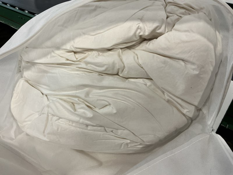 Condition photo showing As Is for all-season premium down comforter, king/cal king, down