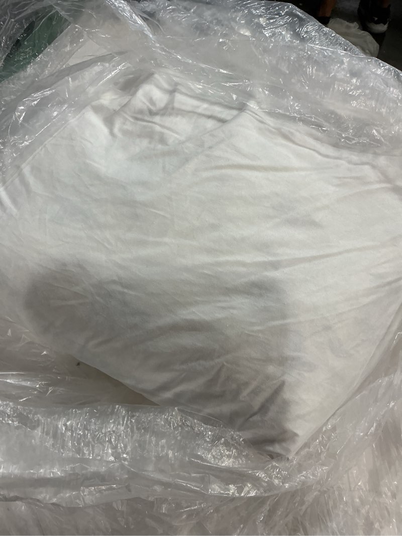 Condition photo showing Good Condition for quince, european premiun feather pillow insert(20”x20”)