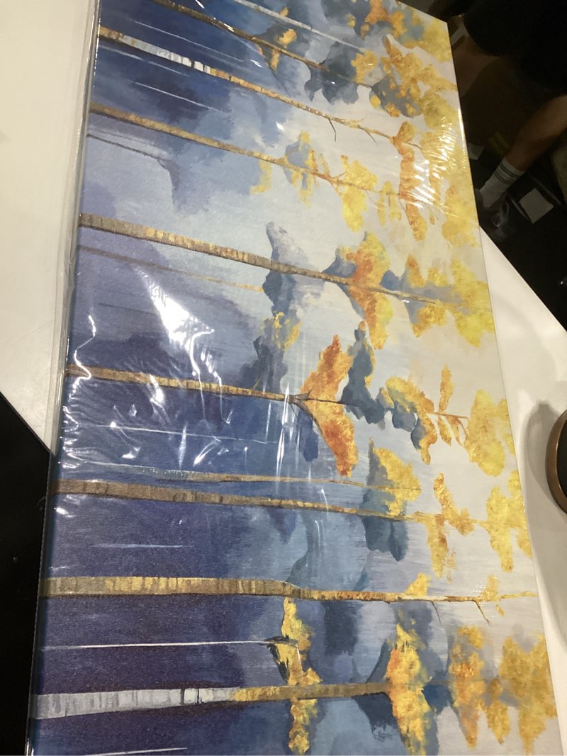 Condition photo showing New/Like New for abstract trees canvas wall art blue and gold wall decor forest tree scenery picture decor for living room bedroom watercolor fluid texture painting prints poster modern painting home decoration 20x40” 40\"l x 20\"w forest, similar to stock photo