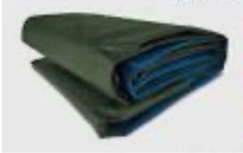 Large green tarpe with blue trim and eyeholes (unknown size)