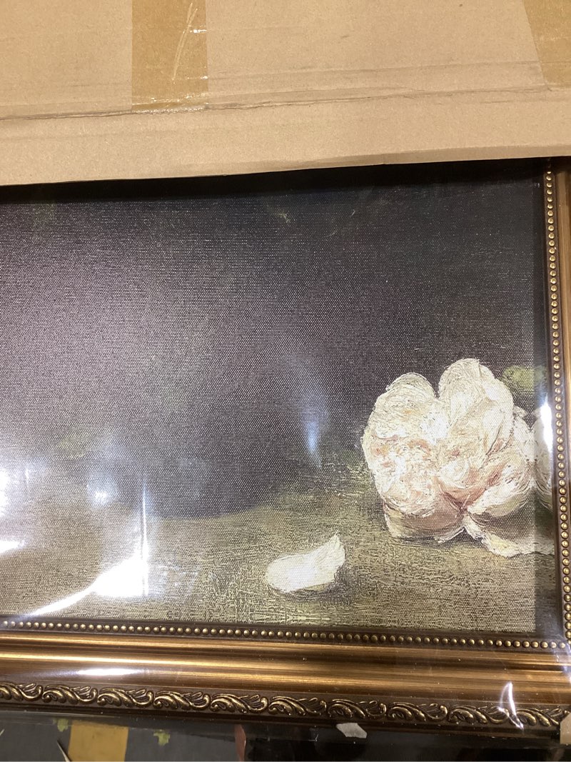 Condition photo showing New/Like New for ASTRDECOR Vintage Floral Wall Art, Gold Framed Canvas Wall Art Moody Dark Roses Painting, Vintage Flower Art Print for Kitchen Bedroom Bathroom Wall Decor, French Country Decor - 20x30inch 30"L x 20"W Dark Roses