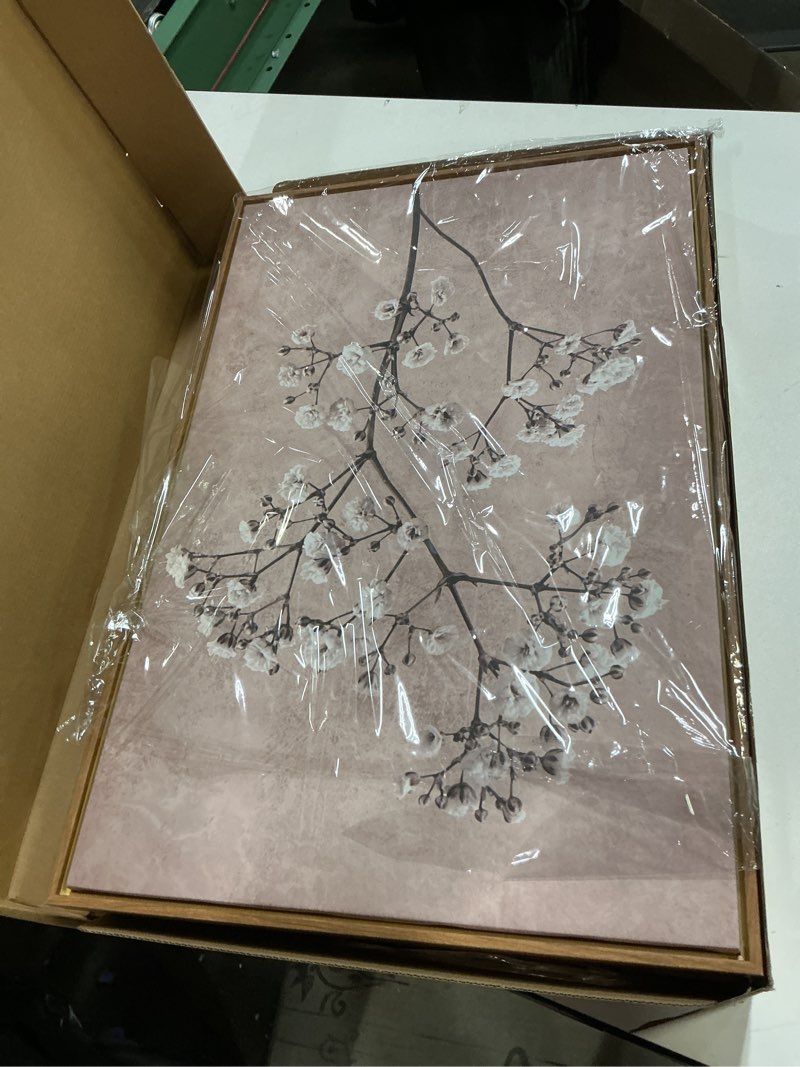 Condition photo showing New/Like New for FWIEXA 3 Piece Neutral Canvas Wall Art for Bedroom Living Room, Framed 16x24 Inches Botanical Prints Set, Minimalist Wildflower Wall Decor, Large Modern Plant Painting Floral 16"L x 24"W