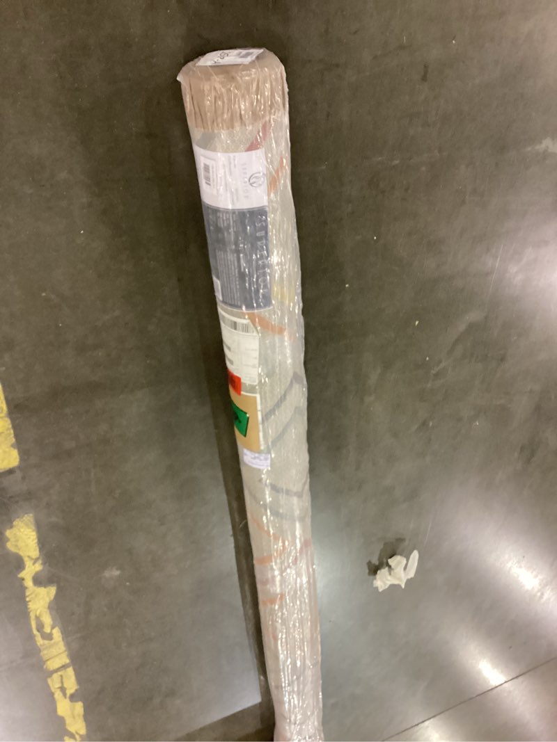 superior indoor outdoor area rug, floor decor for patio, deck, backyard, kitchen, hardwood floor cov