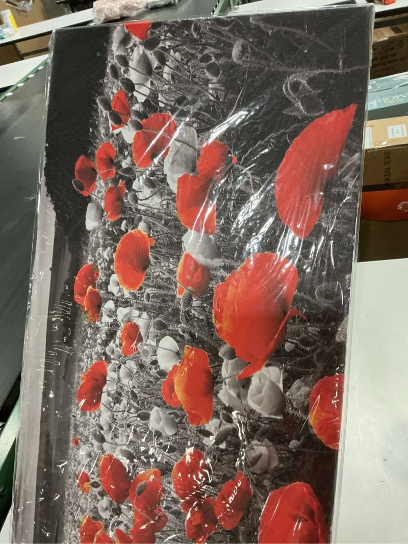Condition photo showing New/Like New for Nature Poppy Wall Art Red and Black Wall Decor Wildflower Field Landscape Picture Canvas Prints Sunrise Poppies Floral Painting Botanical Poster Artwork Living Room Bedroom Home Decorations 14x48” 14"L x 48"W Red Poppy Flower