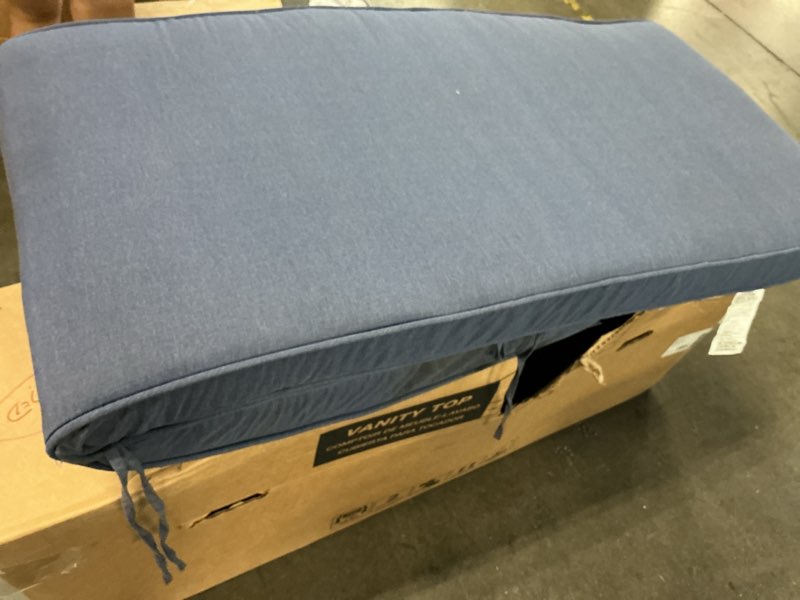 Condition photo showing As Is for allen + roth 47-in x 23-in navy patio chaise lounge chair cushion