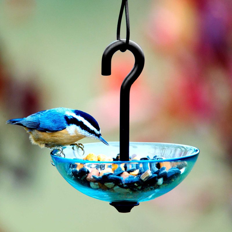 Mosaic Birds M386-200 Single Hanging Poppy Feeder, Aqua