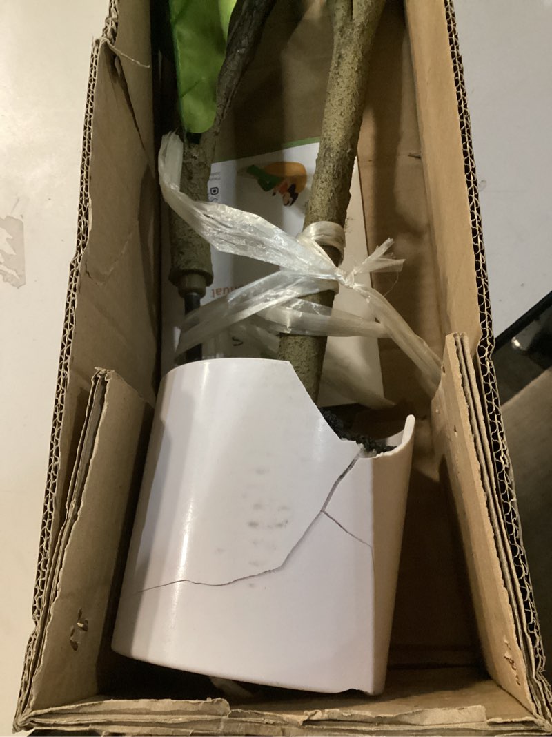 Condition photo showing As Is for Leflos Leflos Artificial Fiddle Leaf Fig Tree Indoor, 5ft Faux Fiddle Leaf Tree with Decorative Planter for Home Decor, Tropical Fake Ficus Tree with Realistic Trunks, Adjustable Branch and Leaves 5ft Fiddle Leaf Fig Tree