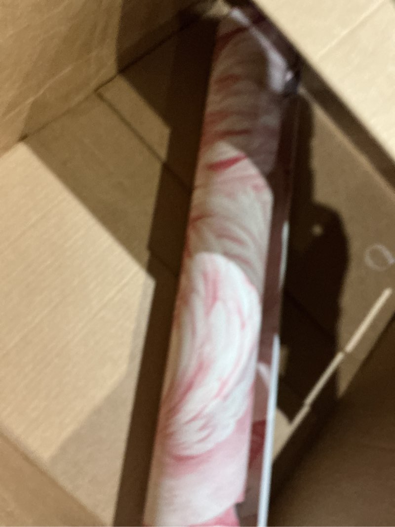 Condition photo showing Good Condition for 10x0.53m romantic baby pink flamingo feathers textured non-woven wallpaper roll for bedroom livingroom 1.73' w x 32.8' l=5.3? (57sq.ft)