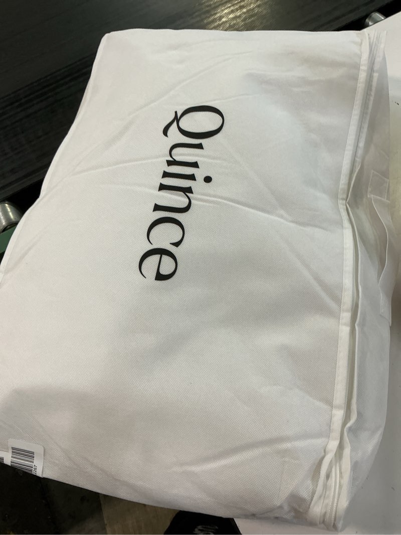 Condition photo showing New/Like New for luxe goose down pillow, standard, soft/medium