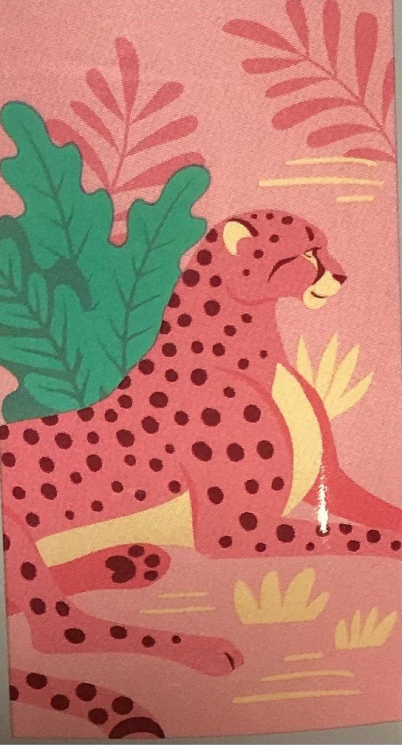 Assorted Beach Towels, 27” x 55”, Total of 6