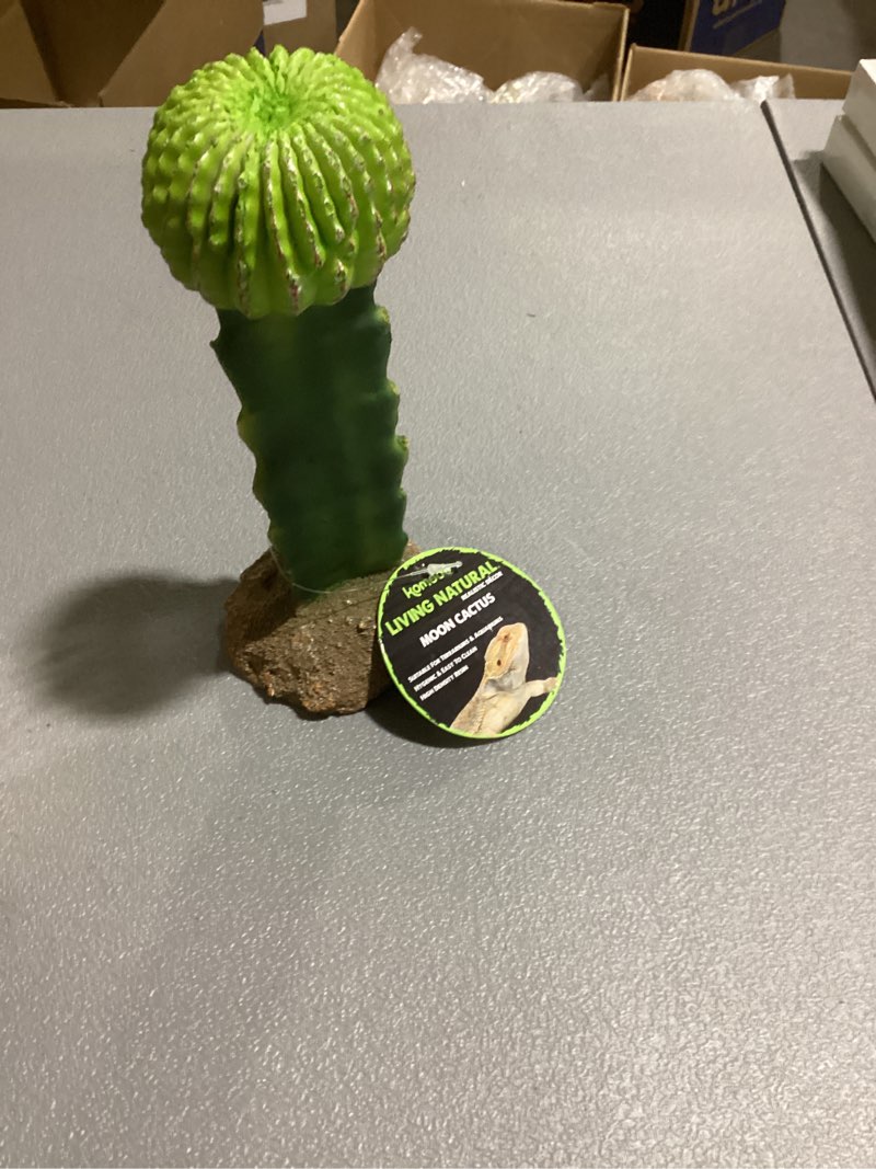 Condition photo showing New/Like New for Multi Pet 48593325: Komodo Cactus Plant Moon, 7.5In