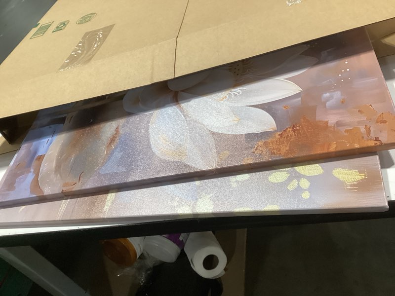 Condition photo showing Good Condition for kplundo zen wall art 2 piece white lotus blooming painting artwork white gold lotus flower poster artwork for bedroom living room bathroom yoga spa room decor(artwork-3,16"x24"x2pcs) artwork-3 16"x24"x2pcs