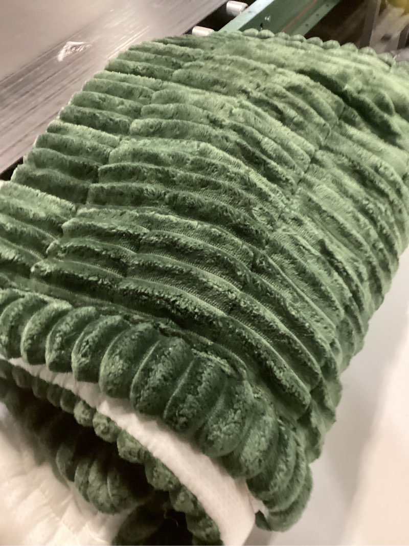 Condition photo showing As Is for Couch Cover for Dogs Washable, Pet Couch Covers for Sofa, Soft Fuzzy Sectional Sofa Cover L Shape, Thick Couch Protector Pet Friendly, Paw Cart Dog Mat for Couches and Sofas (27.6" x 59", Green)