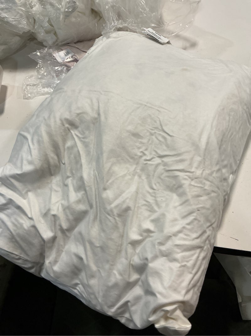 Condition photo showing As Is for premium feather pillow insert (set of 1), 12x20, no color