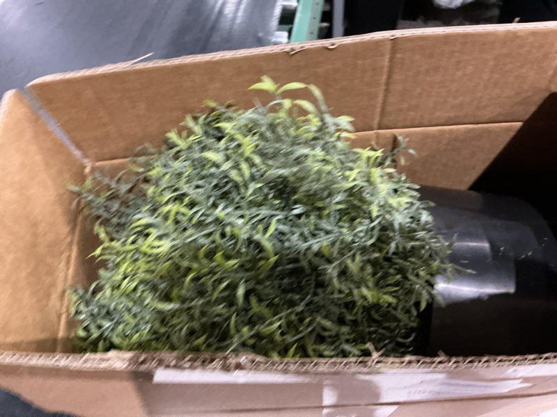 Condition photo showing Good Condition for 2 sets artificial rosemary topiary ball trees for front door - uv resistant faux outdoor rosemary bushes, fake spring/summer greenery potted plants for farmhouse garden porch outside decor