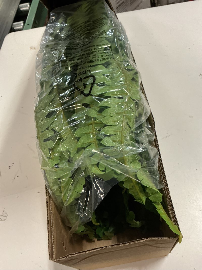 Condition photo showing New/Like New for single silky artificial boston fern bush, 49inch large artificial ferns for outdoors, large faux ferns artificial plants,suitable for decorating office, living room faux greenery,95branches