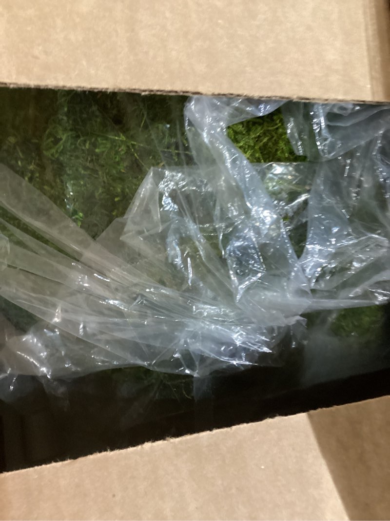 Condition photo showing New/Like New for SuperMoss (21775) Preserved Moss Ball – Natural Green Decor for Home, Weddings & Events – Vase Fillers & Centerpieces, 12”, Fresh Green