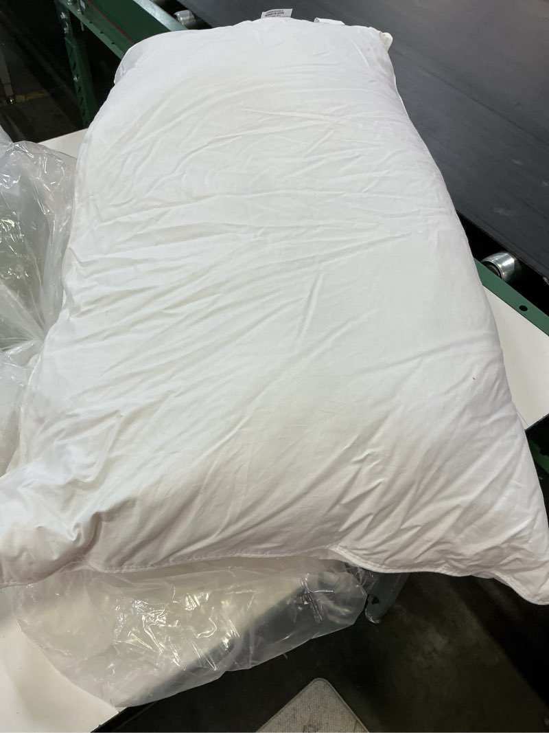 Condition photo showing Good Condition for premium down pillow, king, medium