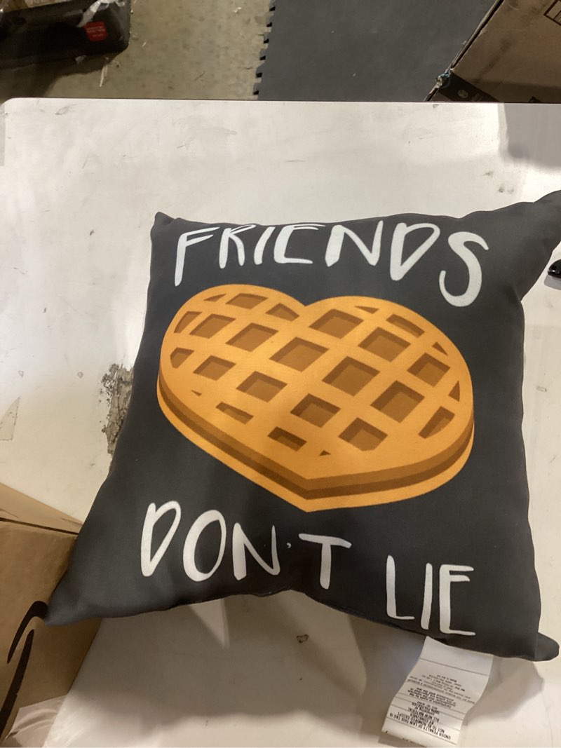 Condition photo showing Good Condition for friends don't lie funny waffle for best friends throw pillow 16x16