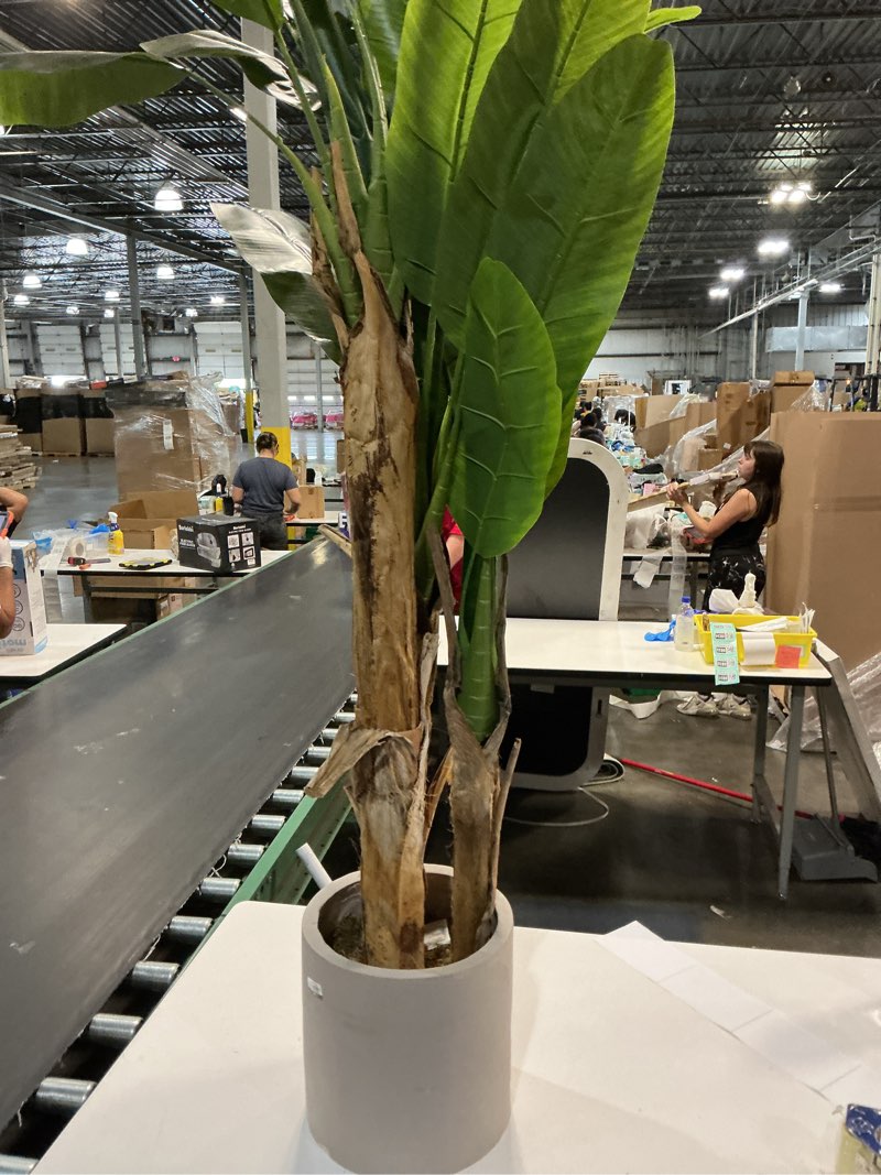 Condition photo showing As Is for 7ft artificial banana tree extra tall fake plants indoor for living room large faux tree high end realistic floor plant big silk tree for home office pet friendly large indoor plant tropical decor
