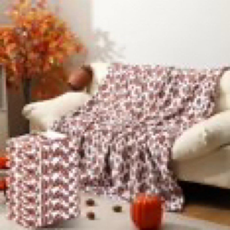 Tranqun 6 Pcs Football Throw Blanket 50 x 60 Inch Cozy Flannel Plush Fleece Sports Throw Blanket Sof