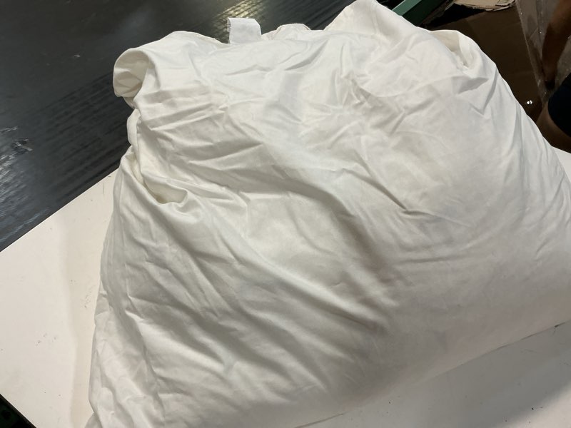 Condition photo showing As Is for premium feather pillow insert (set of 1), 26x26, no color