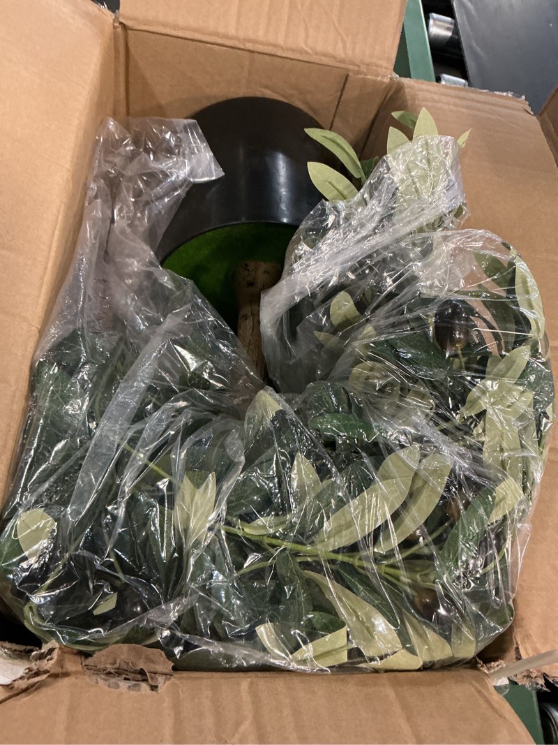 Condition photo showing Good Condition for 6ft Faux Olive Tree, Artificial Olive Tree Indoor, High Imitation Silk Plant Fake Olive Tree with Realistic Leaves and Fruits, Suitable for Home Living Room Office Decoration