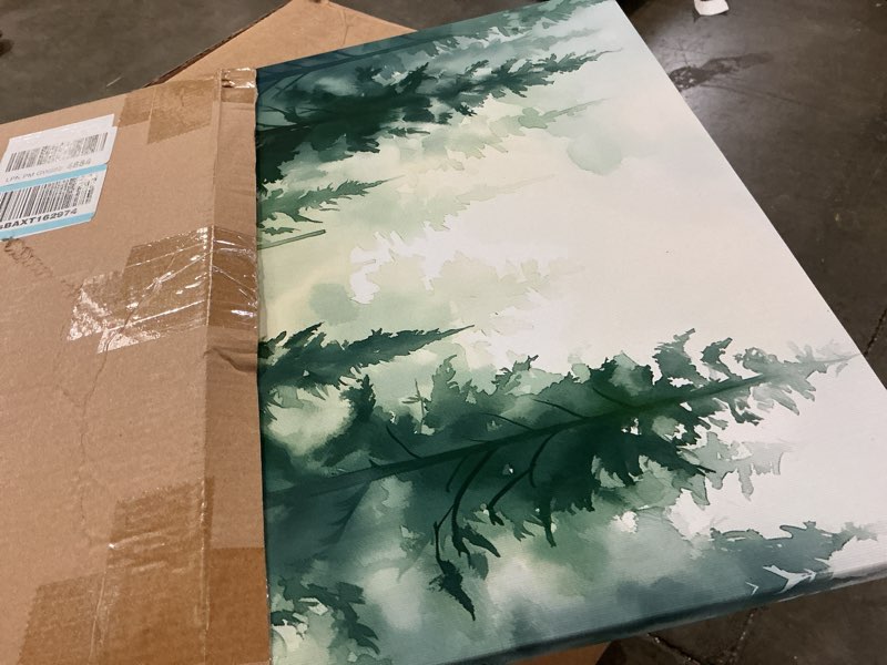 Condition photo showing Good Condition for foggy forest canvas wall art pine tree painting nature landscape poster green forest landscape picture watercolor nature wall art foggy misty pine artwork watercolor tree print 16x24inch framed forest art-framed 16"l x 24"w