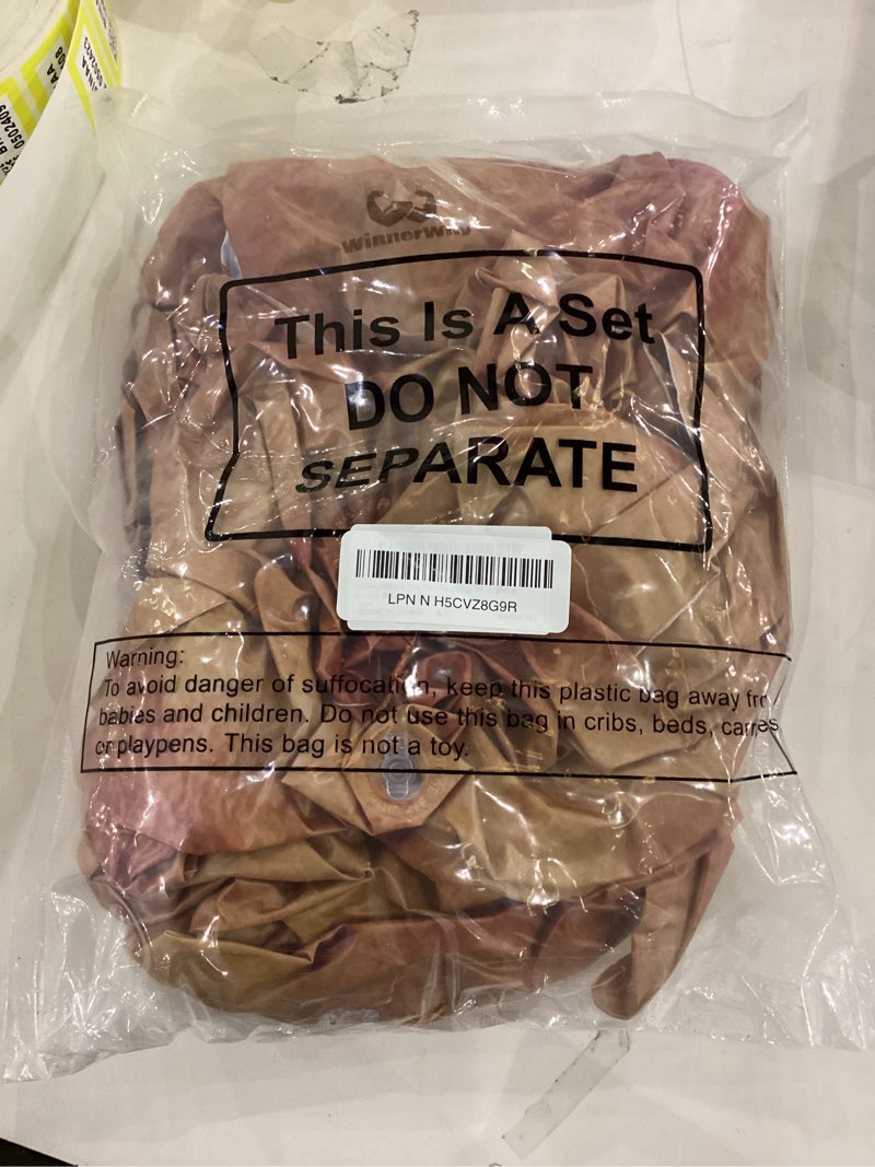 WinnerWhy 4 Pcs Thanksgiving Inflatable Turkey 18 Inch Fake Rotisserie Chicken Original Turkey Photo