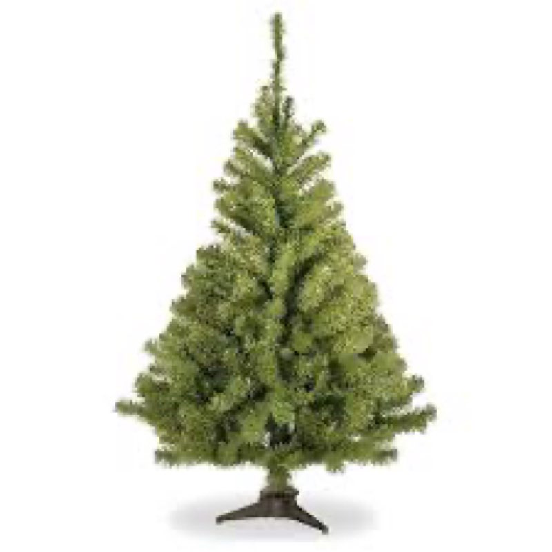 National Tree Company 4 ft Unlit Kincaid Spruce Mini Artificial Christmas Tree, 269 Tips, Includes S