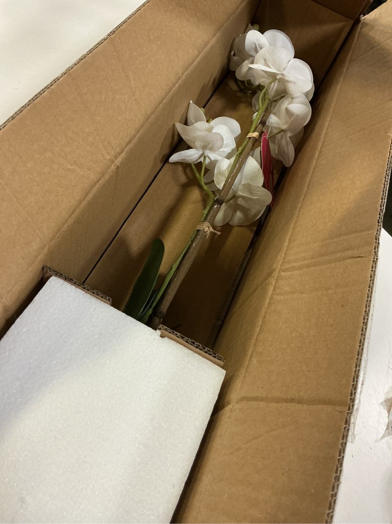 Condition photo showing New/Like New for dolly parton white artificial orchid in pink ceramic pot, 9.8x5.5x24 inch