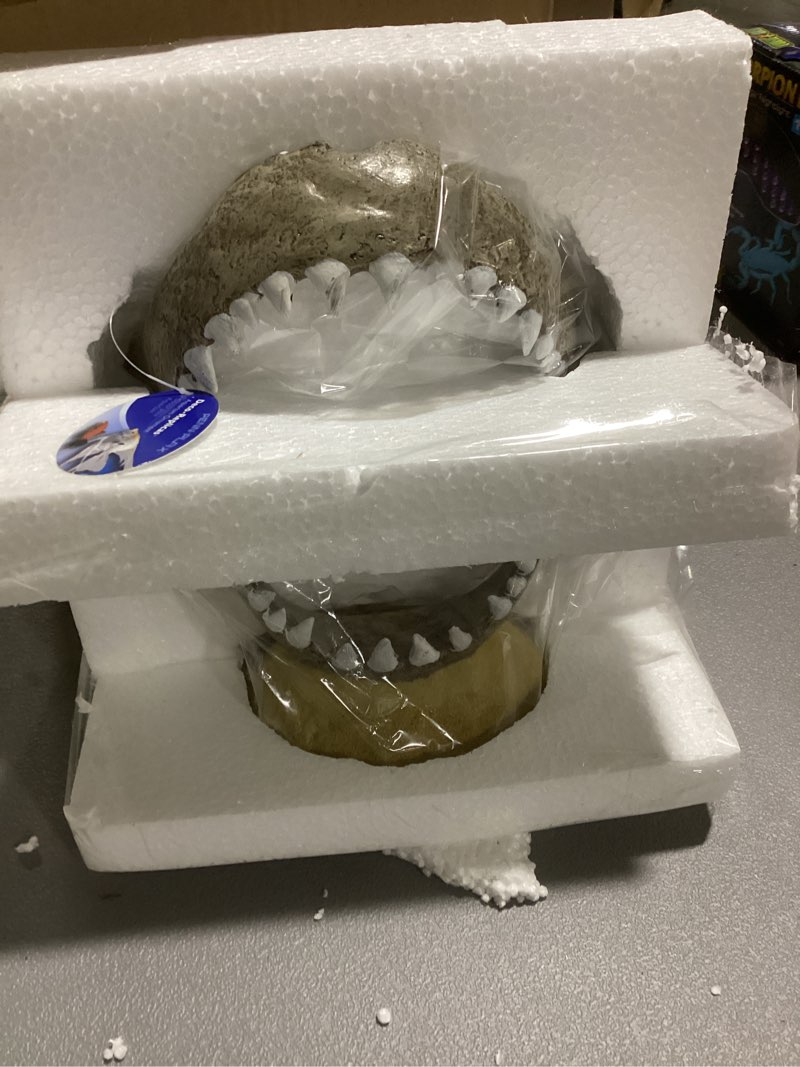 Condition photo showing New/Like New for Penn-Plax Deco-Replicas Shark Jaw Aquarium Resin Decoration - Freshwater and Saltwater Safe