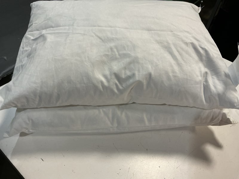 Condition photo showing As Is for premium feather pillow insert (set of 2), 12x20, no color